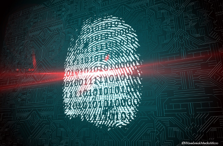 Juventudes cibernéticas